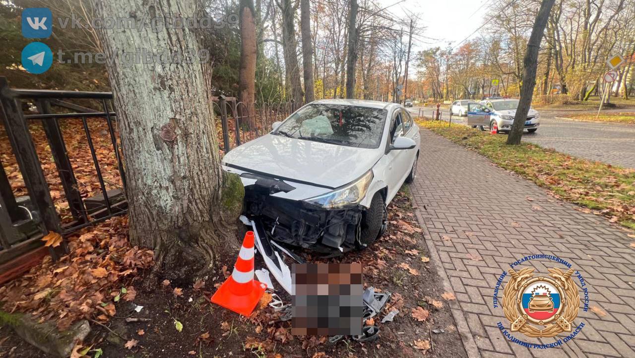 По оперативной информации,15.11.2025 около 11:15 в городе Калининграде водитель (2004 года рождения) автомобиля «Хундай» при выезде на улицу Тельмана в районе дома 20 допустила заезд на тротуар с последующим наездом на дерево По оперативной информации,15.11.2025 около 11:15 в городе Калининграде водитель (2004 года рождения) автомобиля «Хундай» при выезде на улицу Тельмана в районе дома 20 допустила заезд на тротуар с последующим наездом на дерево