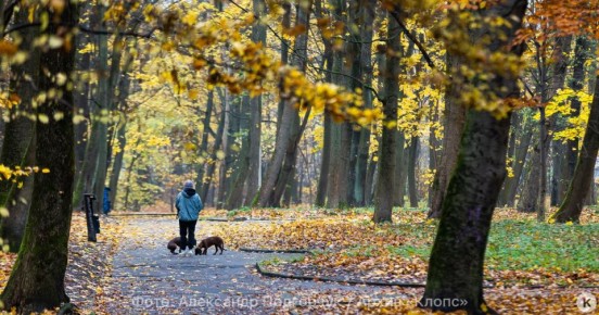 Синоптики предупредили о похолодании в Калининградской области в субботу, 15 ноября