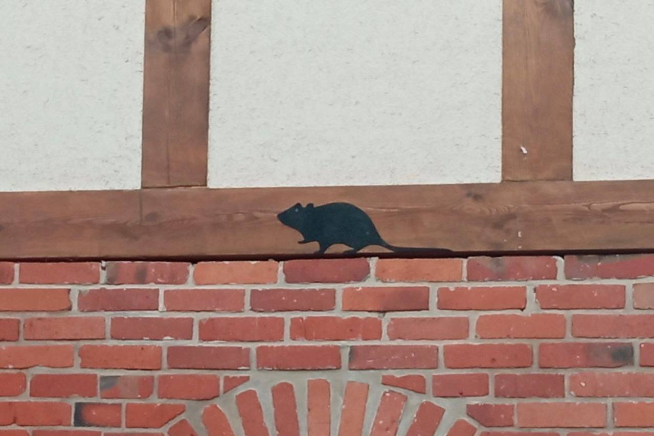 Со старинного склада в Железнодорожном сняли леса Со старинного склада в Железнодорожном сняли леса