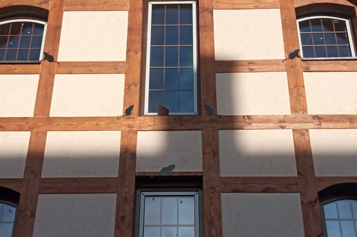 Со старинного склада в Железнодорожном сняли леса Со старинного склада в Железнодорожном сняли леса