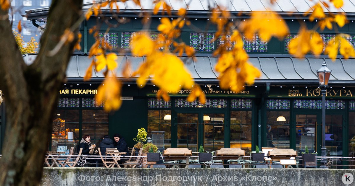 Облачно и осадки: погода в Калининграде и области в понедельник, 17 ноября