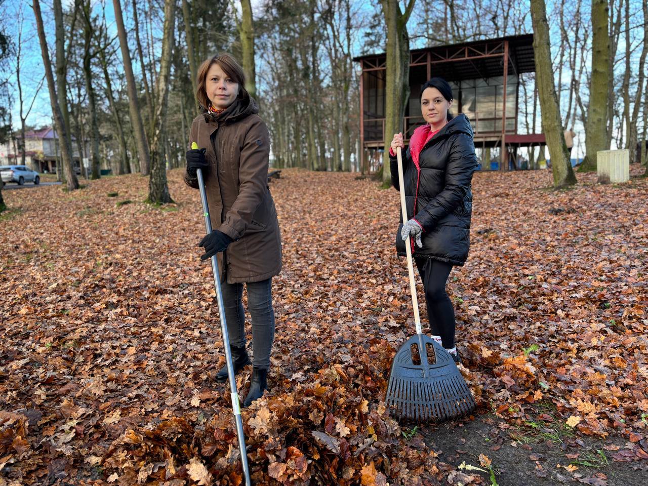 Жители Ладушкина освободили городской парк от листьев Жители Ладушкина освободили городской парк от листьев
