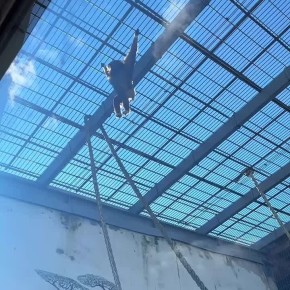 «Делай так каждое утро, и спина болеть не будет»