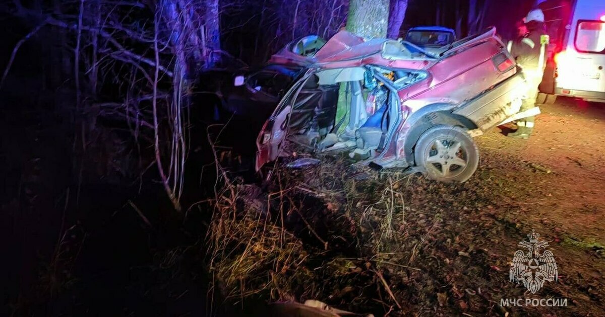 В Озёрском округе водитель автомобиля врезался в дерево, два человека погибло на месте