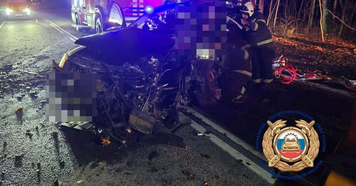 В Зеленоградском районе водитель, лишённый прав, не справился с управлением и врезался в дерево