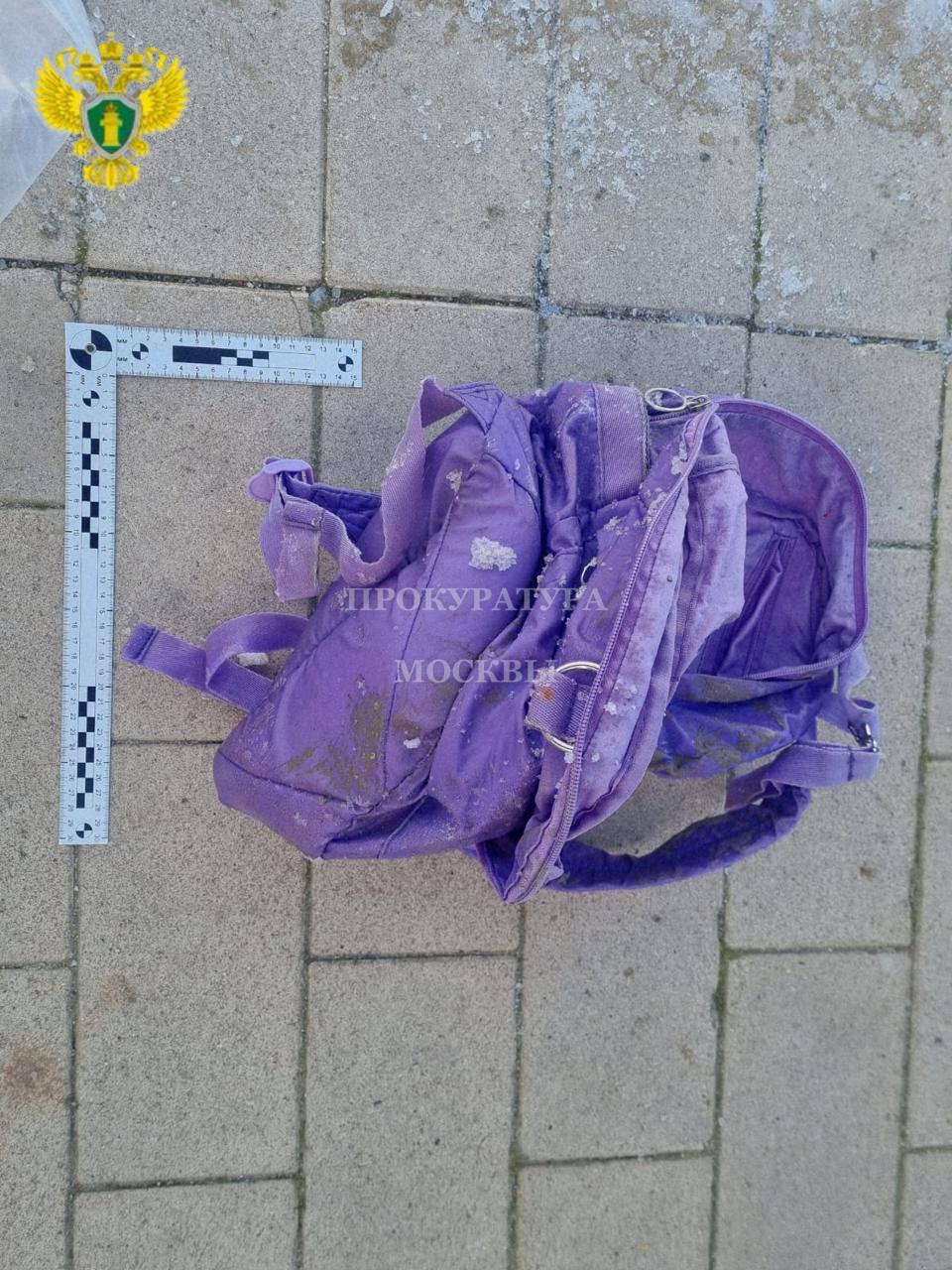 В пруду в Москве нашли голову ребёнка В пруду в Москве нашли голову ребёнка