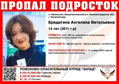 В Багратионовском районе в посёлке Нивенское пропала 14-летняя девушка