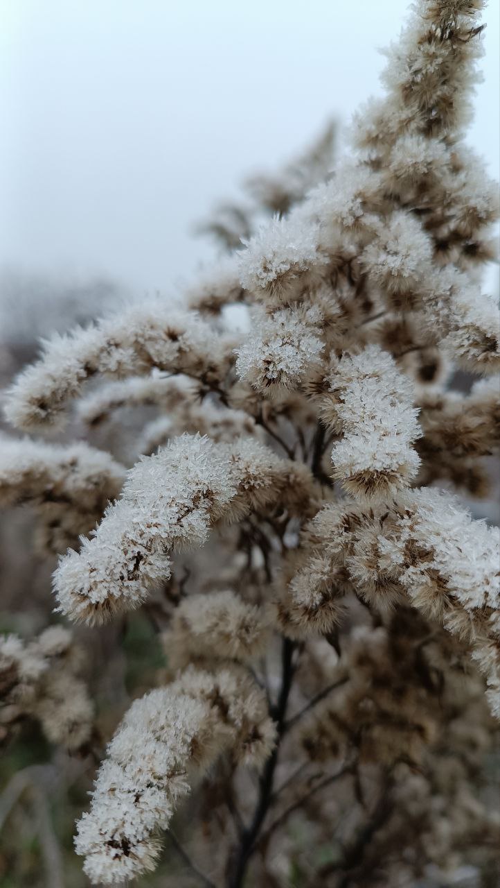 Погода на этой неделе напомнит о скором начале зимы Погода на этой неделе напомнит о скором начале зимы