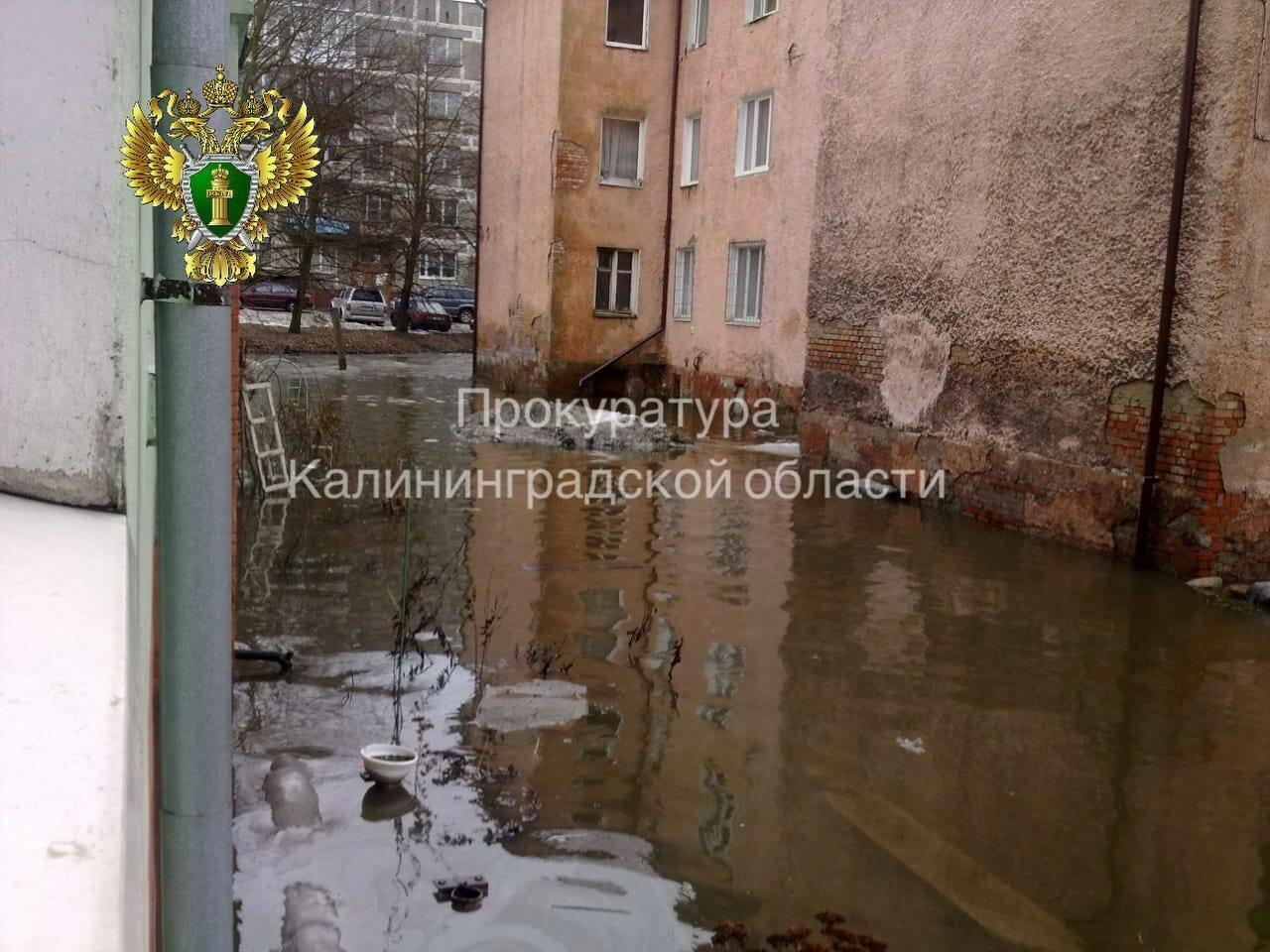 Потопы, плесень и битый фасад: 85-летняя калининградка живёт в аварийном доме, который должны были снести ещё в 2018-м