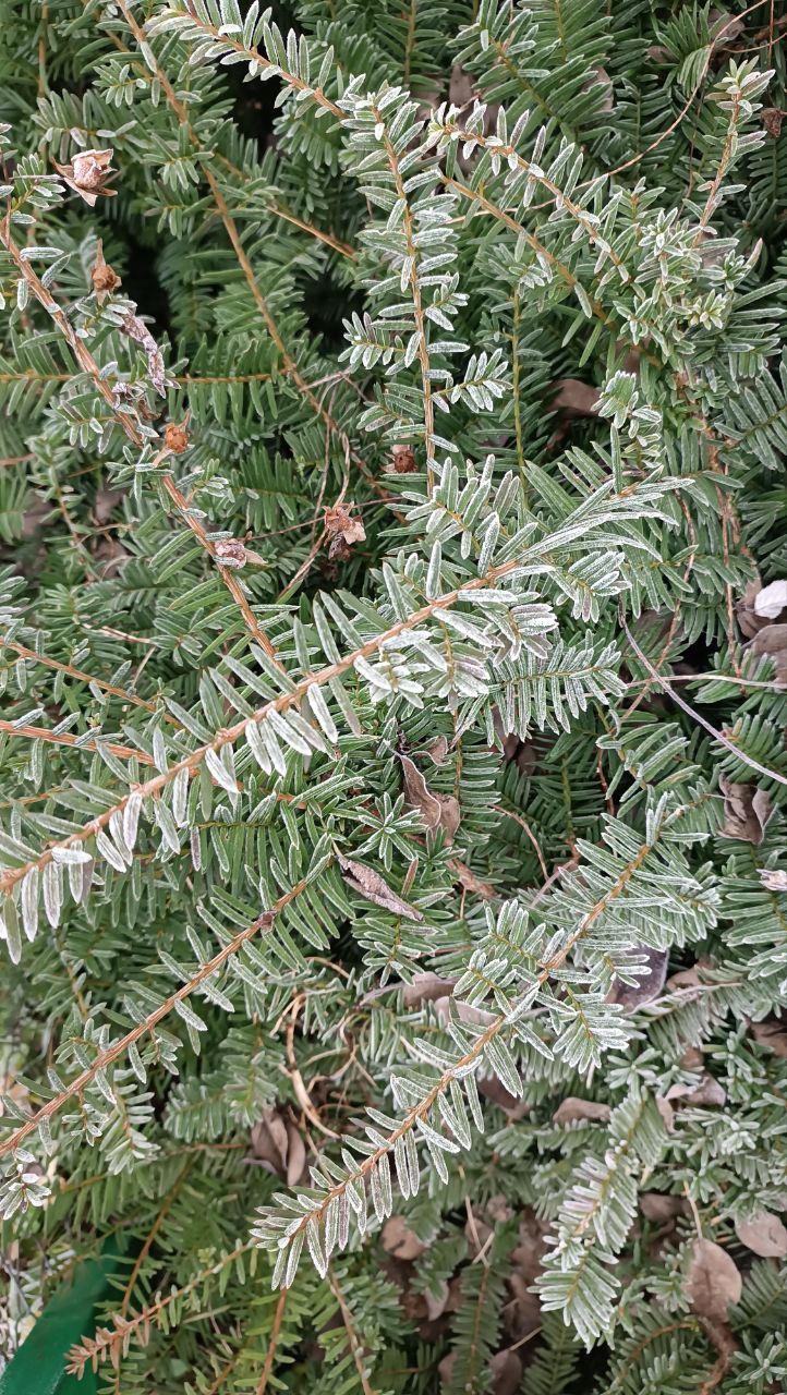 Погода на этой неделе напомнит о скором начале зимы Погода на этой неделе напомнит о скором начале зимы