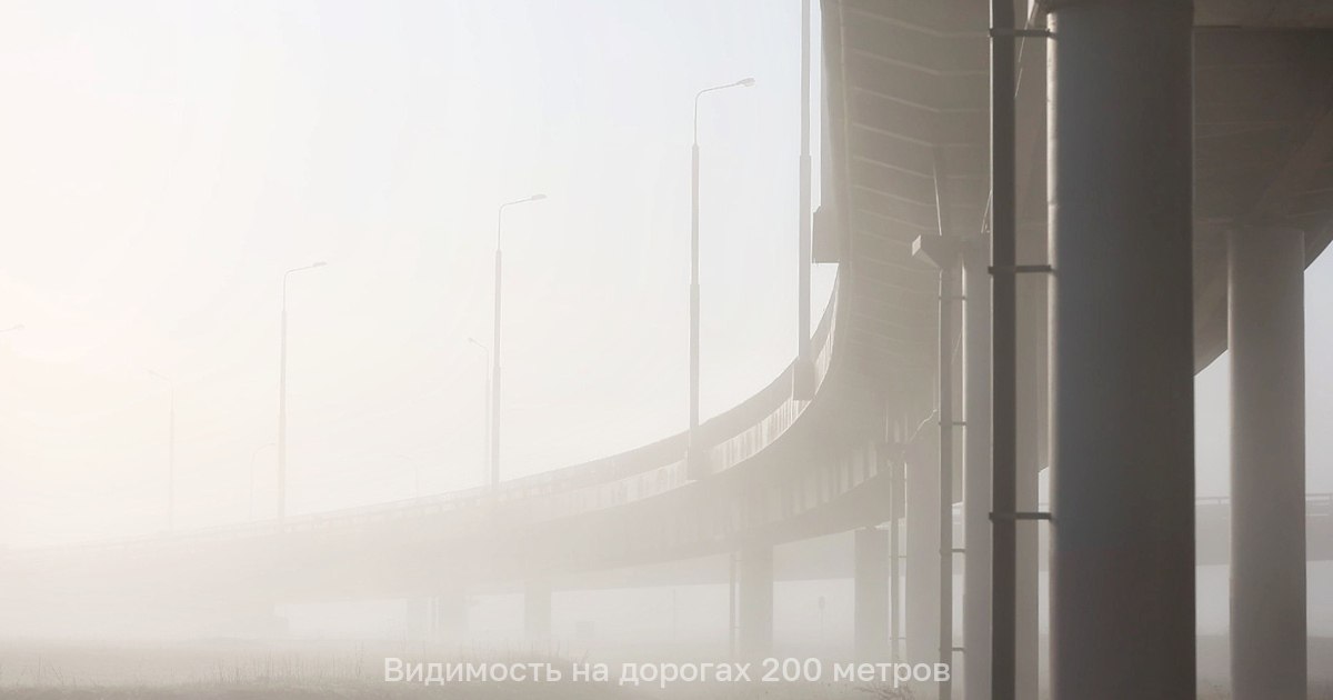 Туман в Калининградской области провисит всё утро понедельника