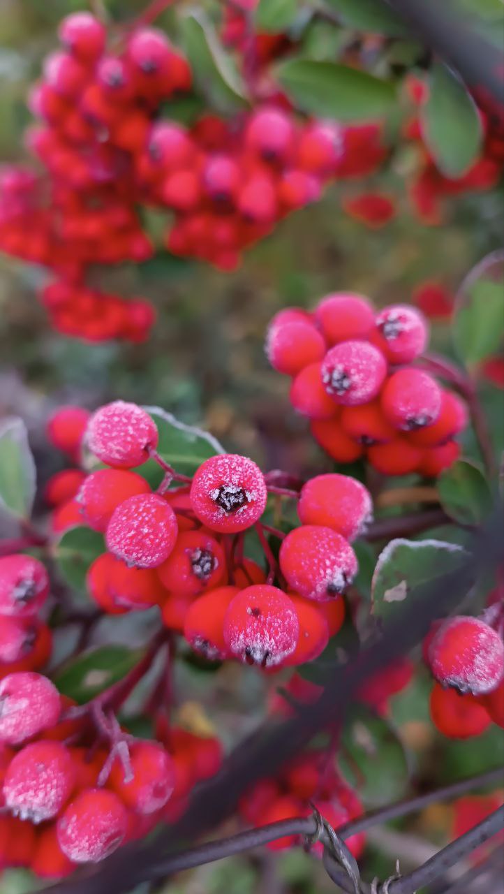 Погода на этой неделе напомнит о скором начале зимы