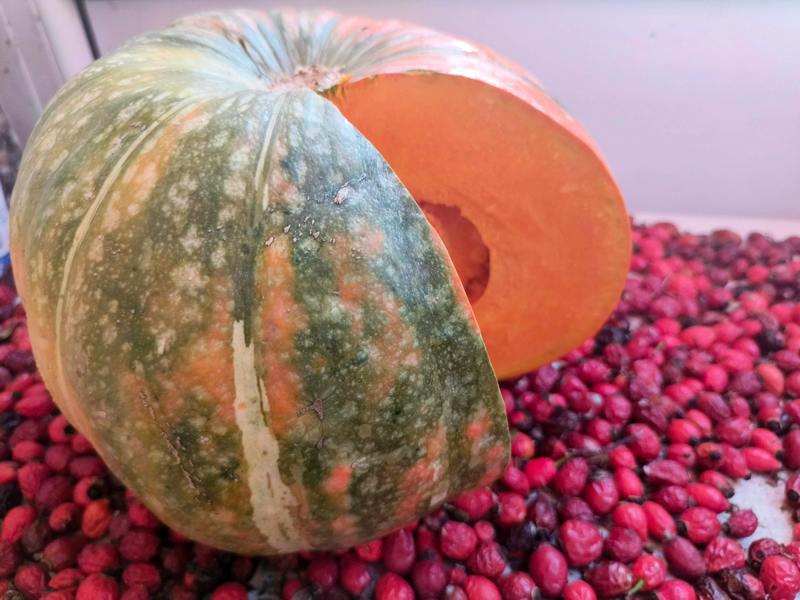 В Калининградской области забросили ЗОЖ