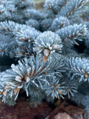 Осень постепенно уступает место зиме