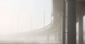 Туман в Калининградской области провисит всё утро понедельника