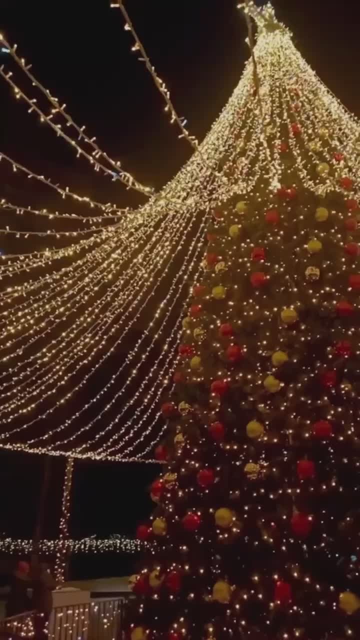 Праздник к нам приходит! К установке новогодней ёлки в Зеленоградске планируют приступить уже 20 ноября