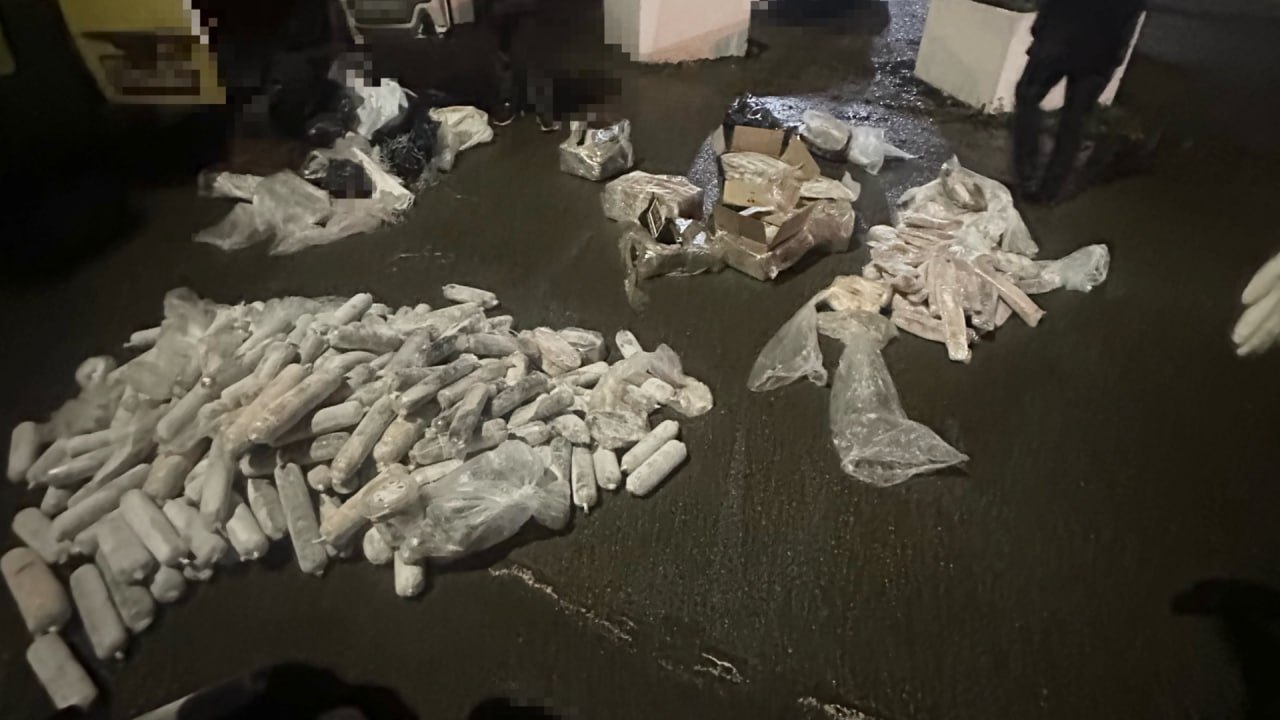 Раскрыта кража биоресурсов группой лиц по предварительному сговору Раскрыта кража биоресурсов группой лиц по предварительному сговору