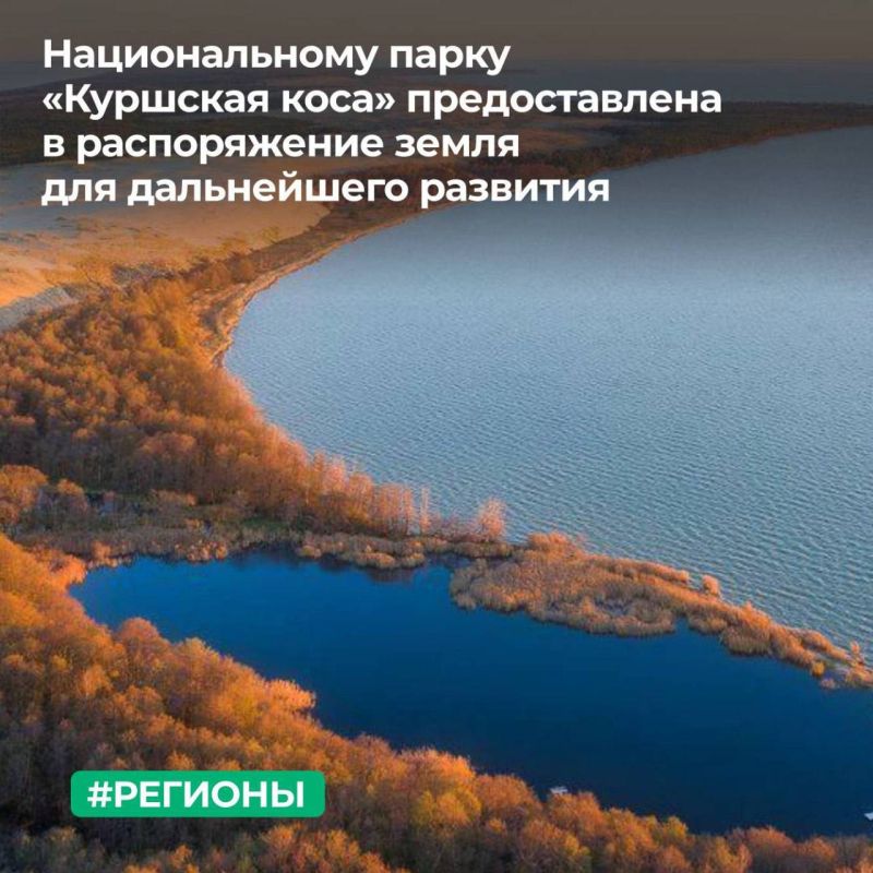 Территориальное управление Росимущества в Калининградской области предоставило в постоянное (бессрочное) пользование государственному бюджетному учреждению «Национальный парк «Куршская коса» земельные участки, расположенные...