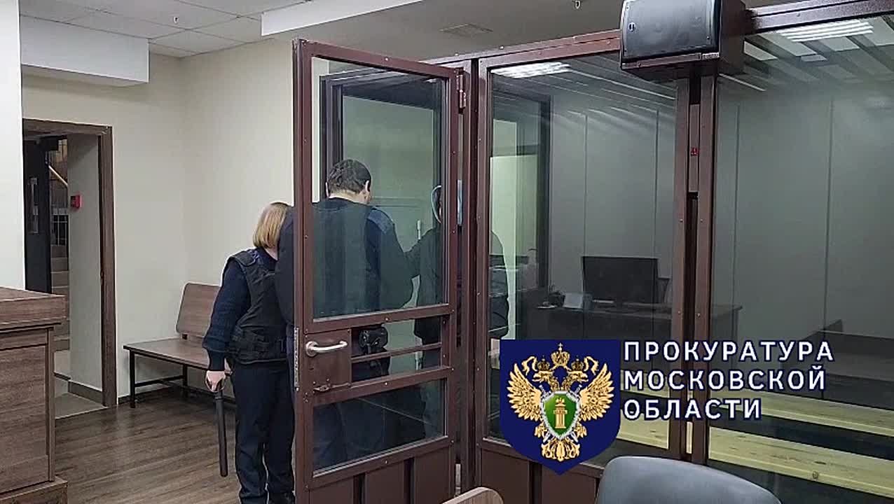 Мать, которая жестоко расправилась с собственным ребёнком в Подмосковье, арестовали до 16 января