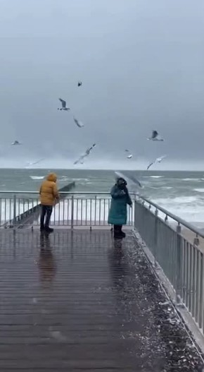    ... !. Ҹ         .        ,       , ...