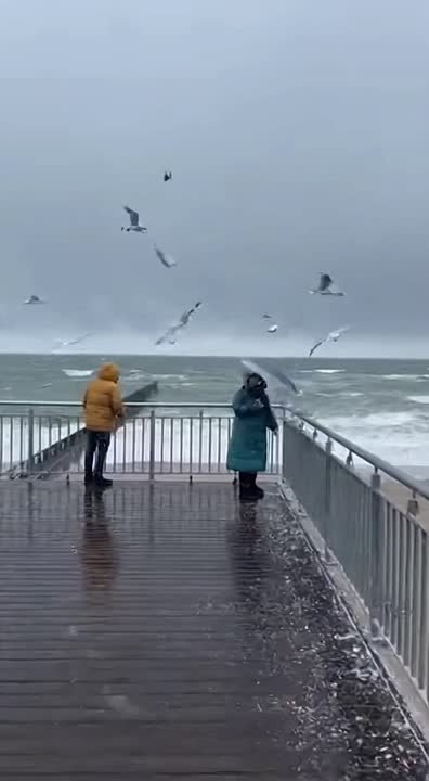 И о погоде на... зиму!. Тёплый атлантический воздух в ближайшие дни накроет почти всю страну. Как рассказал Интерфаксу научный руководитель Гидрометцентра Роман Вильфанд, погода будет на несколько градусов теплее нормы, но...