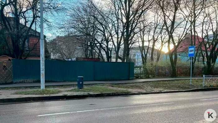 В Калининграде водитель маршрутки справил нужду за остановкой