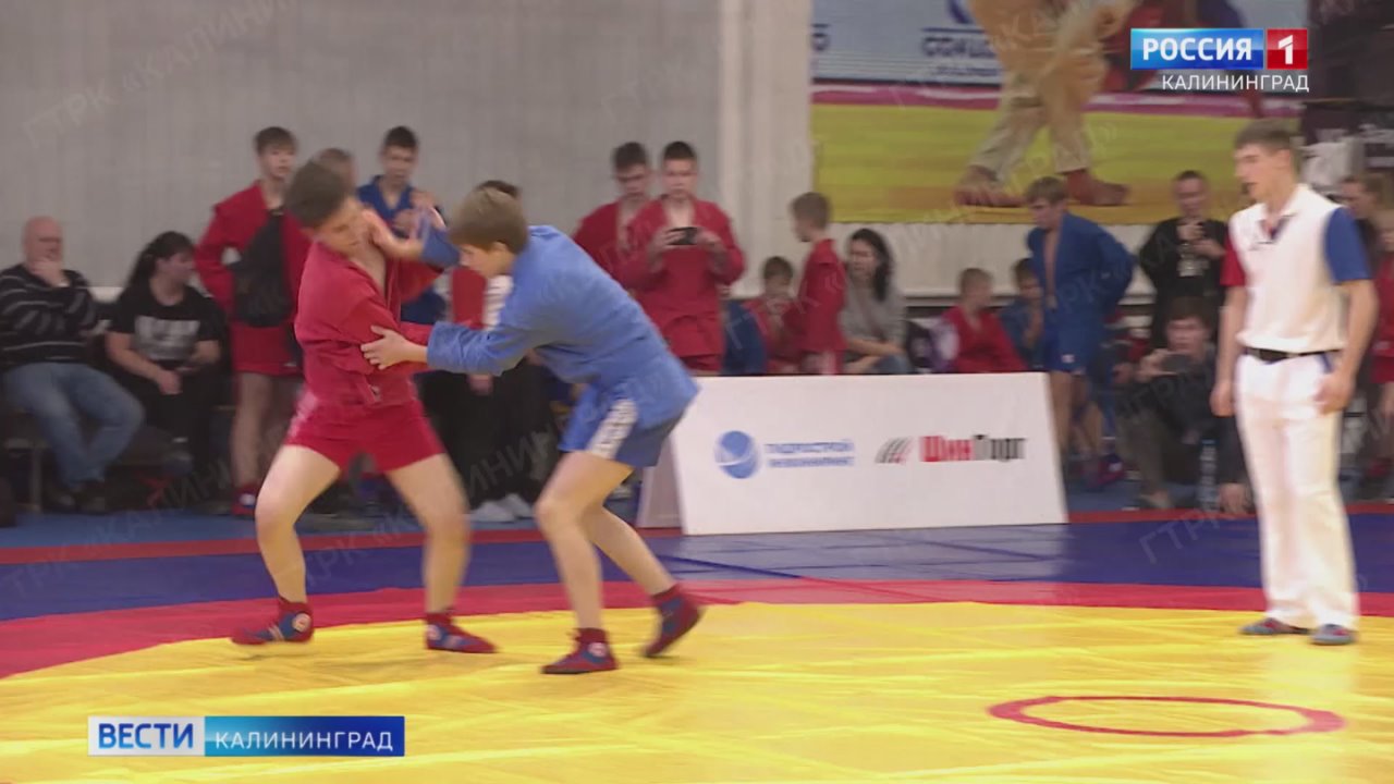 Более 150 городов и 15 тысяч юных спортсменов приняли участие во Всероссийском дне самбо по всей стране