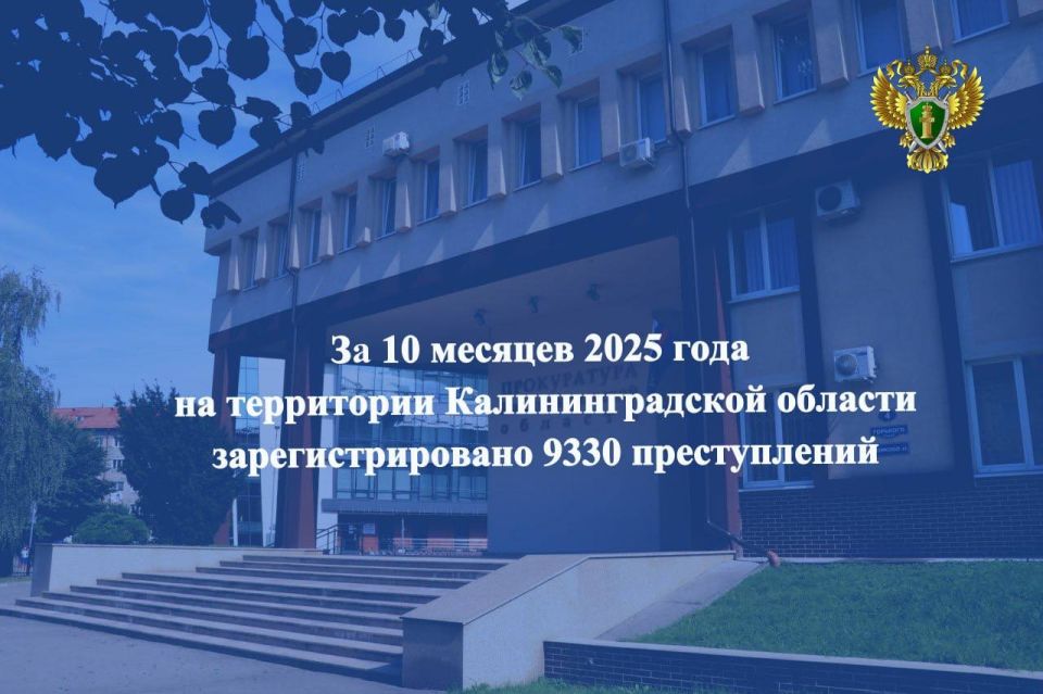 О состоянии преступности на территории Калининградской области за 10 месяцев 2025 года