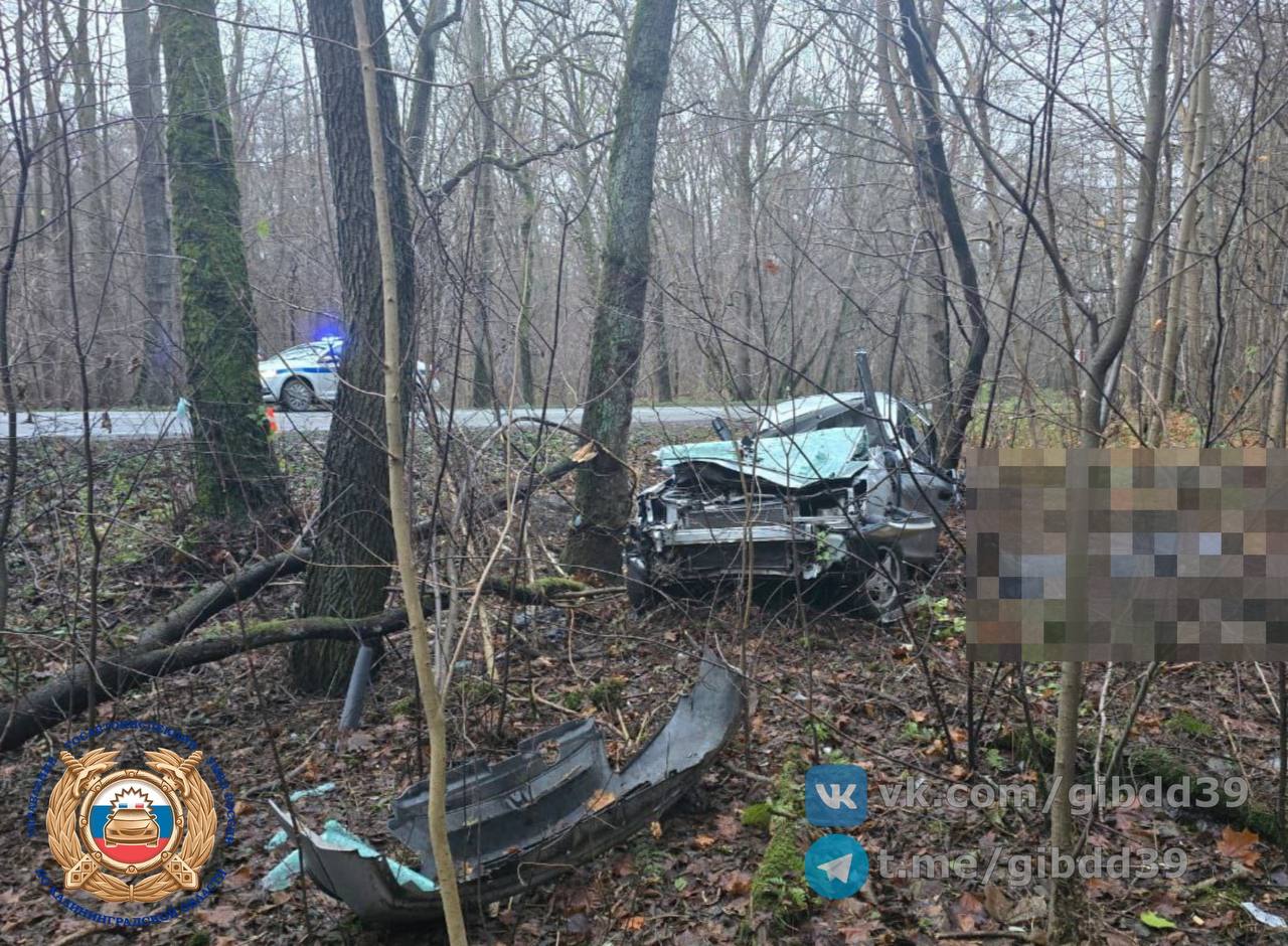 По оперативной информации, сегодня, 18.11.2025 около 15:00 в Зеленоградском районе, на 28 км автодороги Калининград - Балтийск, водитель 2004 года рождения, управляя автомобилем «Хонда» допустил съезд с дороги с последующим...