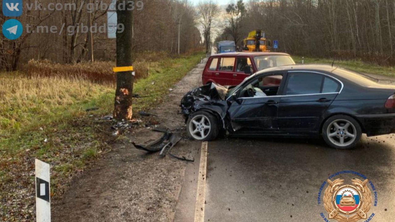 Водитель иномарки стал виновником ДТП