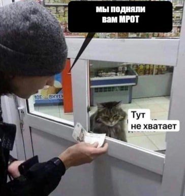 Госдума во втором чтении одобрила повышение МРОТ: с 2026 года минимальная зарплата в России составит 27 093 рубля