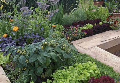 Как вода после стирки может поддержать ваш сад: мифы и реальность