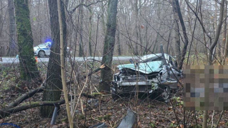 В Зеленоградском районе произошло смертельное ДТП