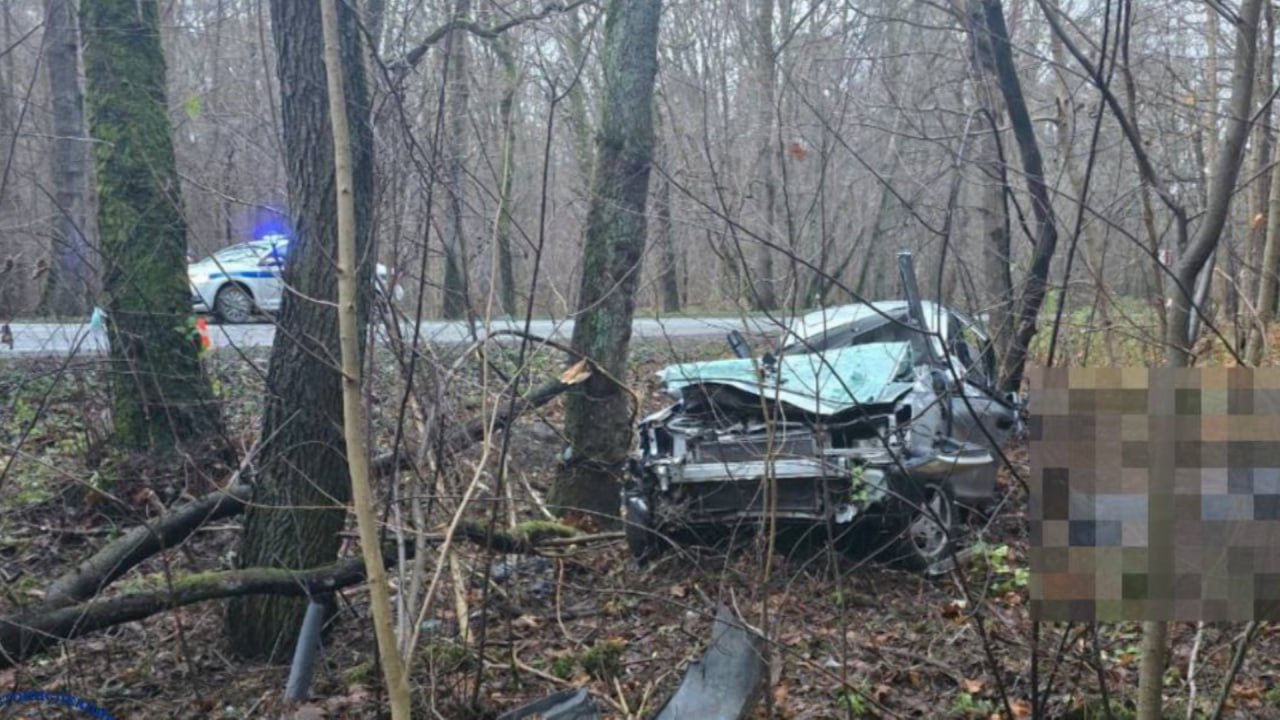 В Зеленоградском районе произошло смертельное ДТП