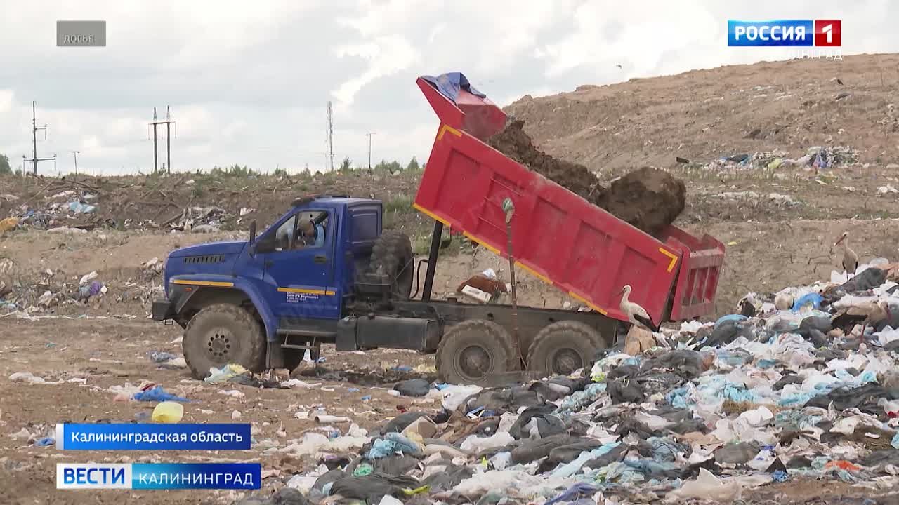 Вывозить мусор на полигон в Круглово в Зеленоградском округе в следующем году не планируется