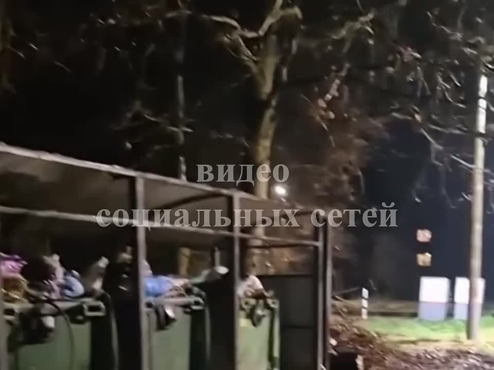 О результатах проверки по публикации в сети Интернет о непринятии мер по вывозу коммунальных отходов