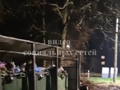 О результатах проверки по публикации в сети Интернет о непринятии мер по вывозу коммунальных отходов