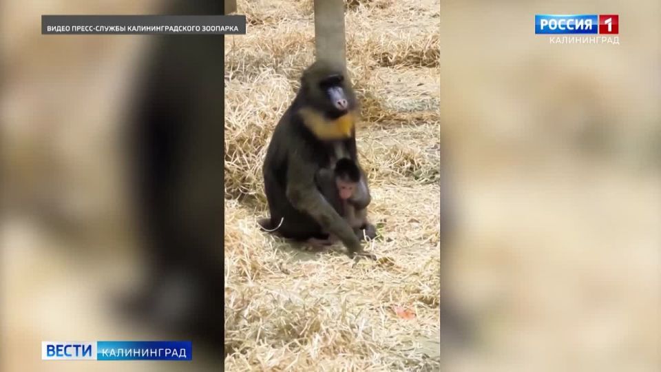 � ��������������� �������� ������� �� 20 ��� ������� ������ ��������