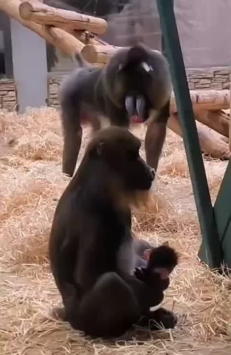 ����������, �������� � ����� �������: � ��������������� �������� ������� ������ ��������