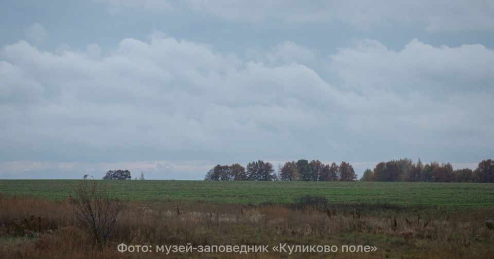 Гость из прошлого: камень Дмитрия Донского на Куликовом поле оказался родом из юрского периода
