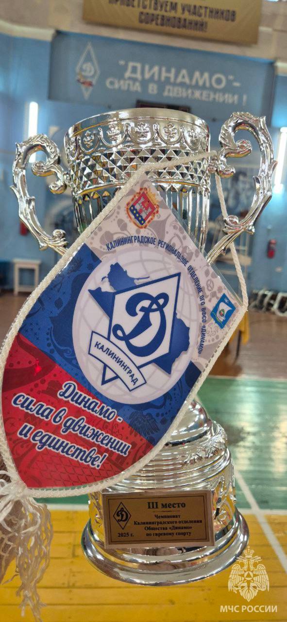 Закаленные огнем и сталью. Сегодня в спортивном зале "Динамо" в рамках Спартакиады Калининградского регионального отделения Общества «Динамо» прошли соревнования по гиревому спорту "Армейский рывок" Закаленные огнем и сталью. Сегодня в спортивном зале "Динамо" в рамках Спартакиады Калининградского регионального отделения Общества «Динамо» прошли соревнования по гиревому спорту "Армейский рывок"