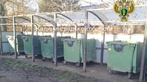 После жалоб местных жителей в Зеленоградском районе убрали свалку на контейнерной площадке