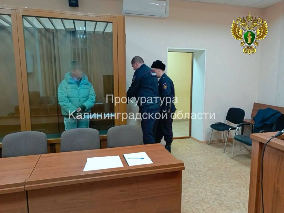 С учетом позиции прокуратуры заключена под стражу жительница Гусевского района, подозреваемая в убийстве новорожденного