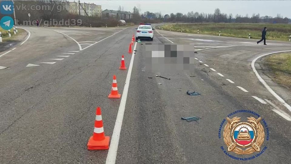 По предварительным данным, 20 ноября 2025 года примерно в 13:50 на 0 км 900 метров автодороги «Объезд города Краснознаменск» Краснознаменского района неустановленный водитель, управляя неустановленным транспортным средством...