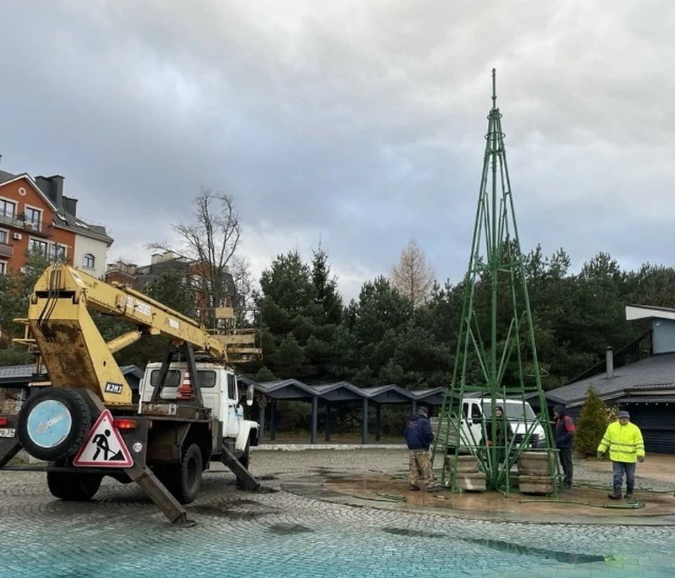 В Пионерском начали устанавливать новогоднюю ёлку