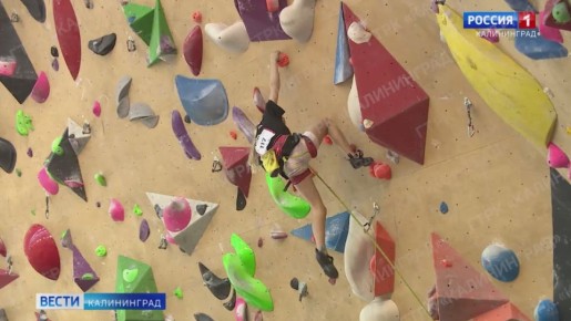В Калининграде прошел чемпионат области по скалолазанию