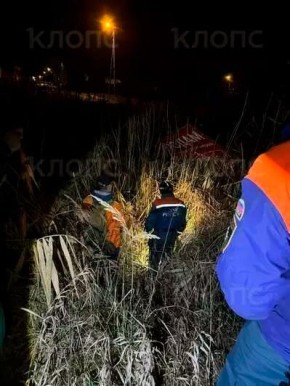 Спасатель нёс дедушку на спине: под Калининградом нашли старика с больными ногами, заплутавшего на прогулке