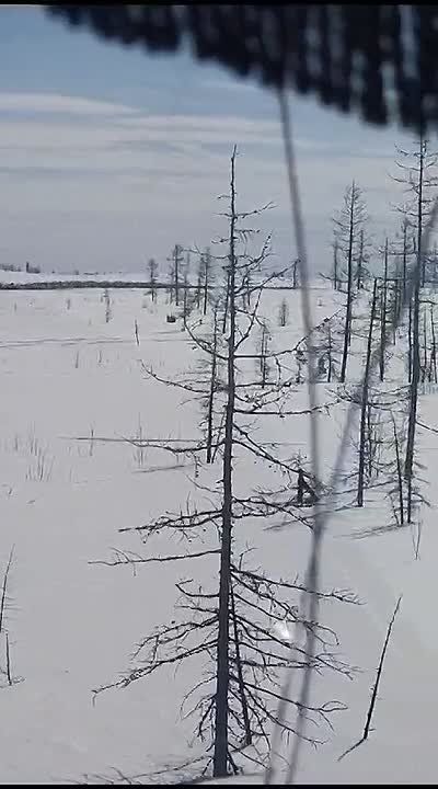 �� �������� ����� �������� �������� ������ �� ���� ��� ������ ���������