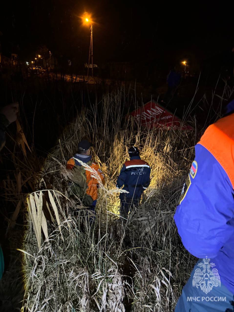 Под Калининградом мужчина пошёл к дому через лес и заблудился Под Калининградом мужчина пошёл к дому через лес и заблудился