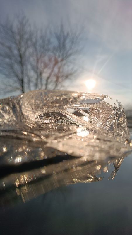 Нашли сегодня красоту в лужах